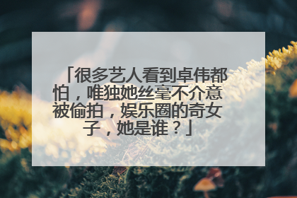 很多艺人看到卓伟都怕，唯独她丝毫不介意被偷拍，娱乐圈的奇女子，她是谁？