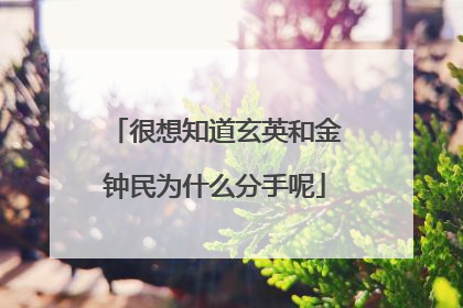 很想知道玄英和金钟民为什么分手呢