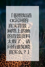 很想知道CK沉珂的真实背景,网络上的她的背景资料太假了,请问有谁知晓真实么?