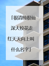 很清纯很仙 深大校花走红天天向上叫什么名字