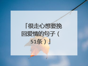 很走心想要挽回爱情的句子（51条）