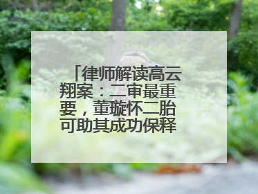 律师解读高云翔案：二审最重要，董璇怀二胎可助其成功保释，你怎么看？