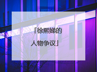 徐熙娣的人物争议