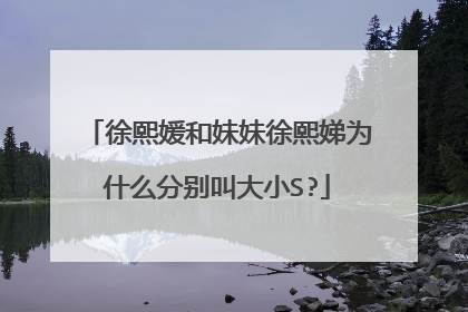 徐熙媛和妹妹徐熙娣为什么分别叫大小S?