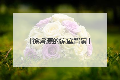 徐睿源的家庭背景