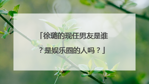 徐璐的现任男友是谁？是娱乐圈的人吗？