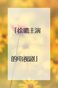 徐璐主演的电视剧