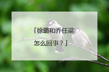 徐璐和乔任粱怎么回事?