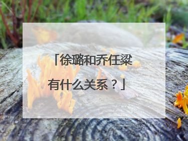 徐璐和乔任粱有什么关系?