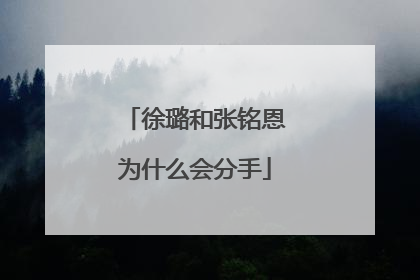 徐璐和张铭恩为什么会分手
