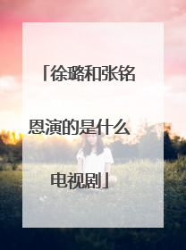 徐璐和张铭恩演的是什么电视剧