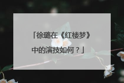徐璐在《红楼梦》中的演技如何?