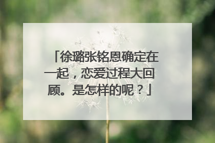 徐璐张铭恩确定在一起,恋爱过程大回顾。是怎样的呢?