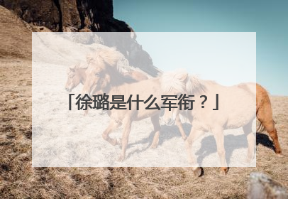 徐璐是什么军衔？
