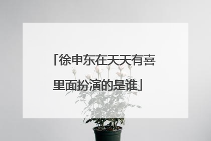 徐申东在天天有喜里面扮演的是谁