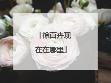 徐百卉现在在哪里