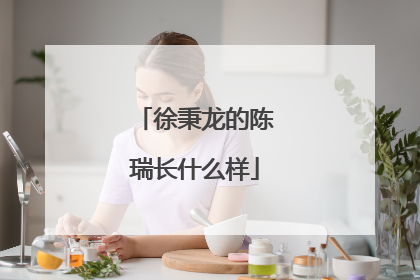 徐秉龙的陈瑞长什么样