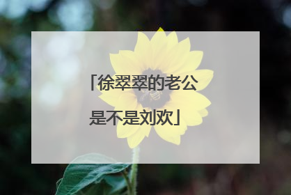 徐翠翠的老公是不是刘欢