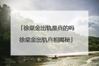 徐粲金出轨是真的吗 徐粲金出轨真相揭秘