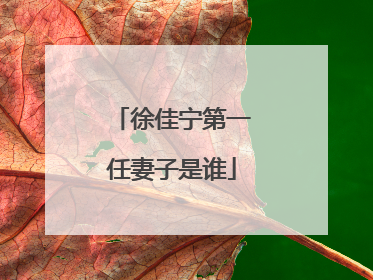 徐佳宁第一任妻子是谁