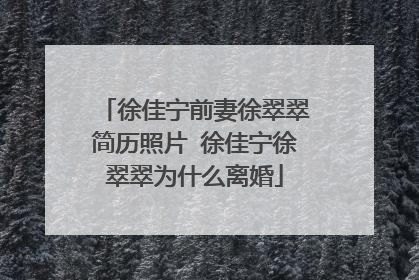 徐佳宁前妻徐翠翠简历照片 徐佳宁徐翠翠为什么离婚