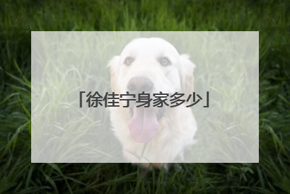 徐佳宁身家多少