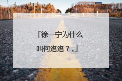 徐一宁为什么叫何洛洛?,