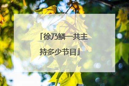 徐乃鳞一共主持多少节目