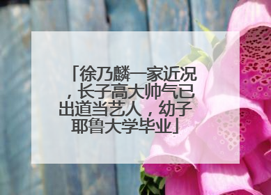 徐乃麟一家近况,长子高大帅气已出道当艺人,幼子耶鲁大学毕业