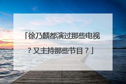 徐乃麟都演过那些电视？又主持那些节目？