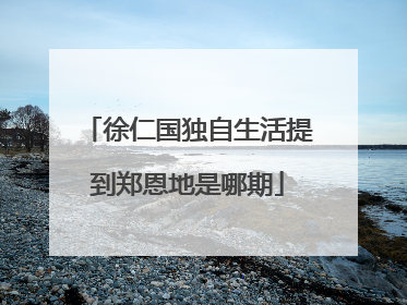 徐仁国独自生活提到郑恩地是哪期