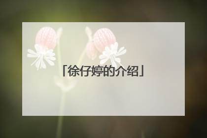 徐仔婷的介绍