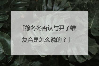 徐冬冬否认与尹子维复合是怎么说的?