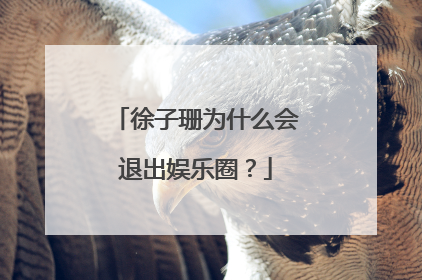 徐子珊为什么会退出娱乐圈?