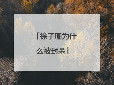 徐子珊为什么被封杀