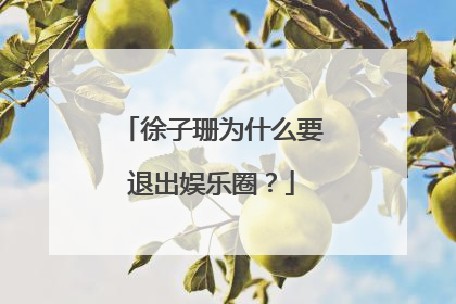 徐子珊为什么要退出娱乐圈？