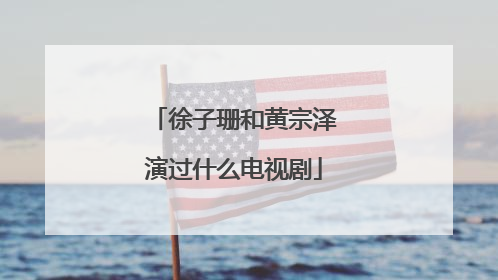 徐子珊和黄宗泽演过什么电视剧