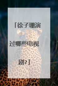 徐子珊演过哪些电视剧?