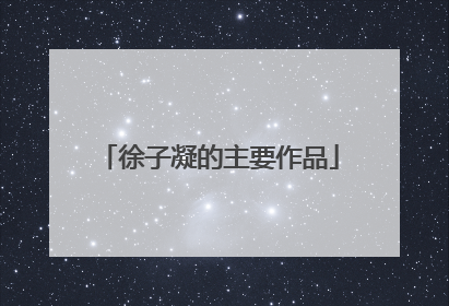 徐子凝的主要作品