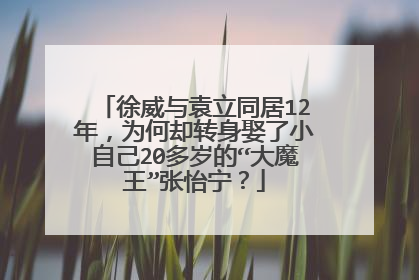 徐威与袁立同居12年,为何却转身娶了小自己20多岁的“大魔王”张怡宁?