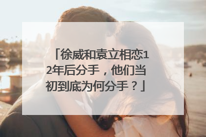 徐威和袁立相恋12年后分手，他们当初到底为何分手？