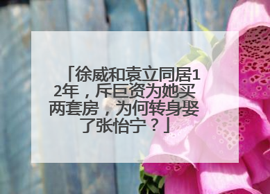 徐威和袁立同居12年,斥巨资为她买两套房,为何转身娶了张怡宁?