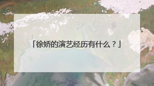 徐娇的演艺经历有什么？