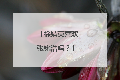 徐婧荧喜欢张铭浩吗？