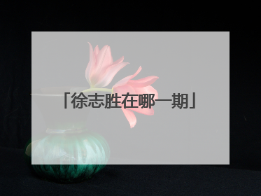 徐志胜在哪一期