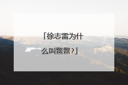 徐志雷为什么叫鳖鳖?