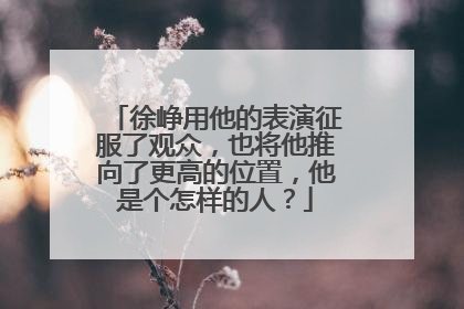 徐峥用他的表演征服了观众，也将他推向了更高的位置，他是个怎样的人？