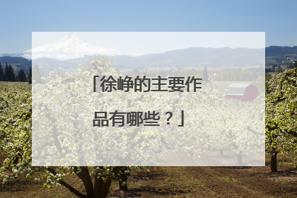 徐峥的主要作品有哪些?