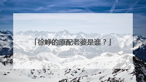 徐峥的原配老婆是谁？