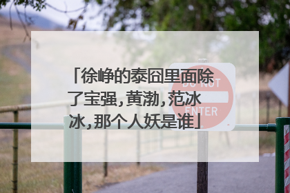 徐峥的泰囧里面除了宝强,黄渤,范冰冰,那个人妖是谁